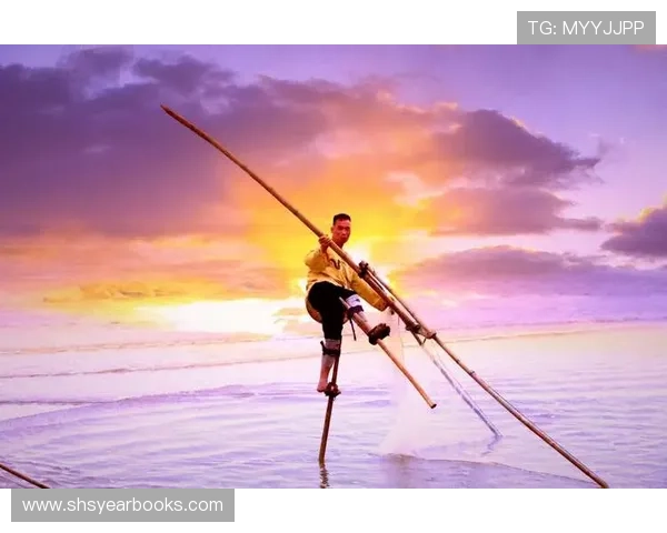 详细解析AG捕鱼官网会员注册流程及最新优惠活动助你轻松开启捕鱼之旅